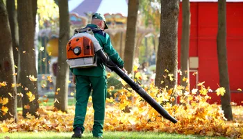 Tree Removal for The Third Day Land Management Company  in Tampa,  FL