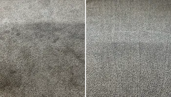 Deep Carpet Cleaning for Faithfully Clean in Chesterfield, VA