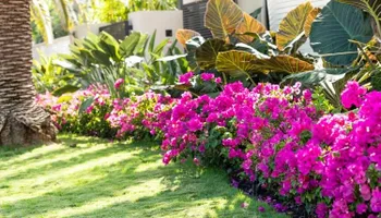 Lawn Maintenance for EAH Landscaping Services in Germantown, MD