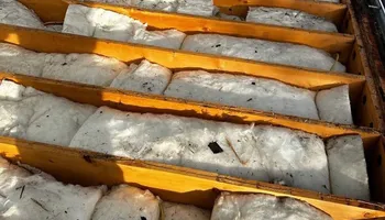 Roofing Services for Boston Elite Roofing & Masonry in Boston, MA