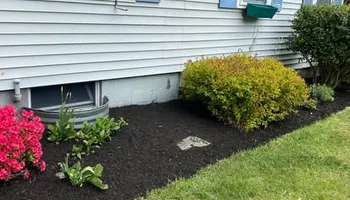 Tree Work for Baboosic Tree & Landscape in Merrimack, NH