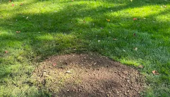 Softscaping Design & Installation for Mulch & Dig in West Bloomfield Township, MI