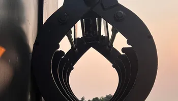 Tree Removal for Dittmer Tree Service in Davenport, IA