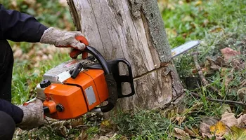 Tree Removal for Tree Life Tree Service in Wichita, KS