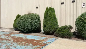 Mowing for Reliable Property Maintenance in Munster, IN