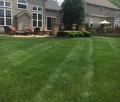 Fall Clean Up for Trim Seasonal Services in Franklin, WI