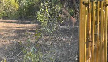 Mowing for Harpers Landscaping in Fredonia, NY