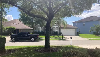 Tree Removal for Top Notch Tree Experts in Orange Park, FL