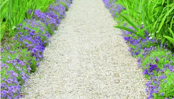 Lawn Mowing for 4 Points Lawncare LLC in Hayes, VA