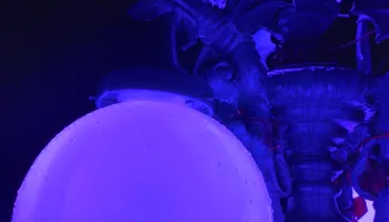 Electrical Repairs for Bohemia Electric in Cottage Grove, OR