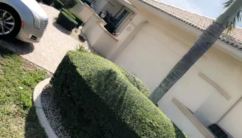 Stump Grinding for Rize N’ Grind  in Punta Gorda, FL