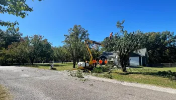 Tree Removal for Ross Family Tree Service LLC  in Hohenwald, TN