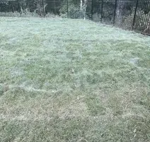 Landscape Design for Olmedo Home Services in Davie County, NC