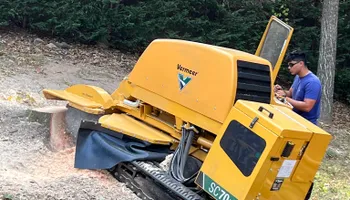 Tree Removal for J&M Stump Grinders LLC in Douglasville, GA