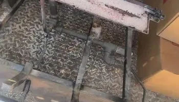 Chimney Repairs for Home Fireplace Pros in Gilmer, TX