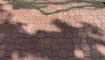 Pressure Washing for Freedom Exterior Washing in Burlington, NJ