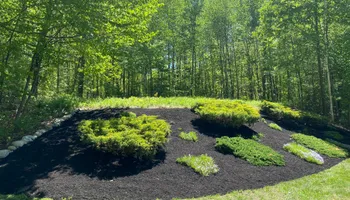 Tree Work for Baboosic Tree & Landscape in Merrimack, NH
