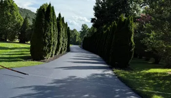 Concrete Restoration for Asphalt Animals in Little Rock, AR