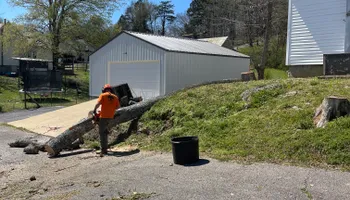 Tree Removal for Ross Family Tree Service LLC  in Hohenwald, TN