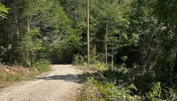 Land Clearing for Dutch Mountain Excavating in Sevierville, TN