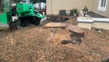 Stump Grinding for Busy Beaver Stump Removal, Inc in Clearwater, FL