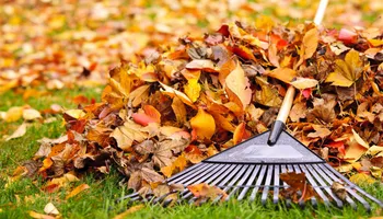 General Handyman Services for Goliath Tree Maintenance and Haul Away in Seneca, SC