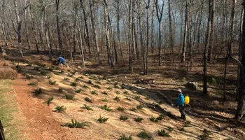 Drainage Solutions for Hydra-Nomix  in Canton,  GA