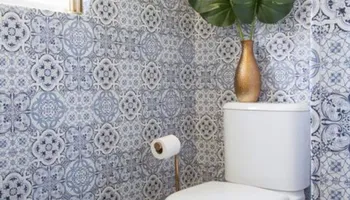 Clogs and Drain Cleaning for Plumb Ultra LLC in Gainesville, FL