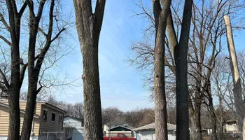Tree Removal for Highborn Tree Service in Wheatfield, IN