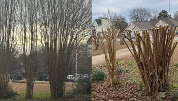 Painting and Drywall for Camalett Services in Perry, GA