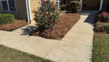 Painting and Drywall for Camalett Services in Perry, GA