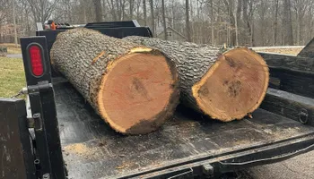 Tree Removal for Greenskeeper Property Management in Elizabethtown, KY