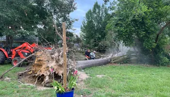 Tree Removal for JC Land and Tree Service in Kilgore, TX
