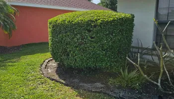 Lawn Care & Maintenance for Above the Lawn Cuts in Sebring, FL