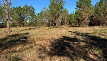 Demolition for Clean Acres LLC in Hartsville, SC