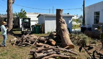 Tree Removal for MX Trees LLC in Englewood, FL