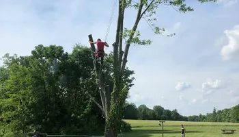 Tree Removal for Merriman's Tree Service in Nineveh,  IN