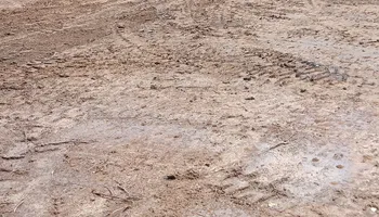 Land Clearing for Yates Construction & Excavation in Arrington, Tennessee