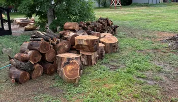 Tree Removal for Graham’s Tree Services in Pierce, CO