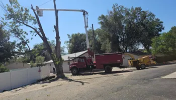 Tree Removal for Langston Tree & Landscape LLC in Canon City, CO
