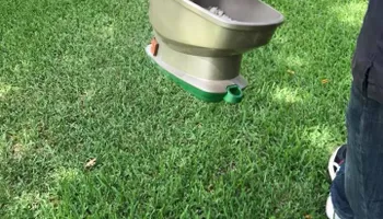 Armadillo Control for Toppers Wildlife Removal in Garland, TX