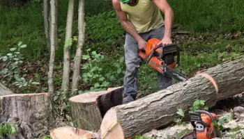 Tree Removal for Licensed to Cut in Athens, PA