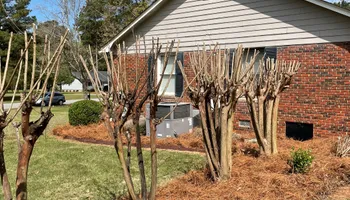 Painting and Drywall for Camalett Services in Perry, GA
