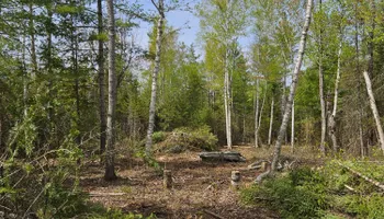 Driveways for T & T Excavating and Property Services in Presque Isle County, MI