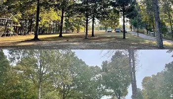 Tree Removal for Ross Family Tree Service LLC  in Hohenwald, TN