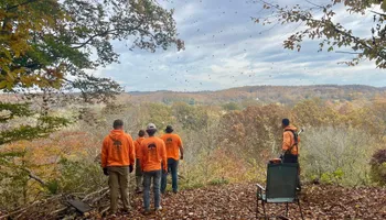 Tree Removal for Ross Family Tree Service LLC  in Hohenwald, TN
