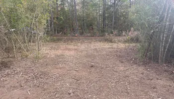 Land Clearing for South Mississippi Land Management LLC in Columbia, Mississippi