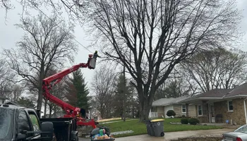 Tree Removal for SMITHs Tree Service in Columbus, IN