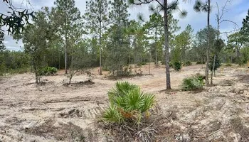 Land Clearing & Demolition for All American Excavating Inc in Brooksville,  FL