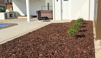 Tree Removal for Optimum Tree Service And Landscaping in Bowling Green, KY